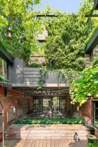 9 Decorative Plants Decor Concepts for a Luxe Vibe