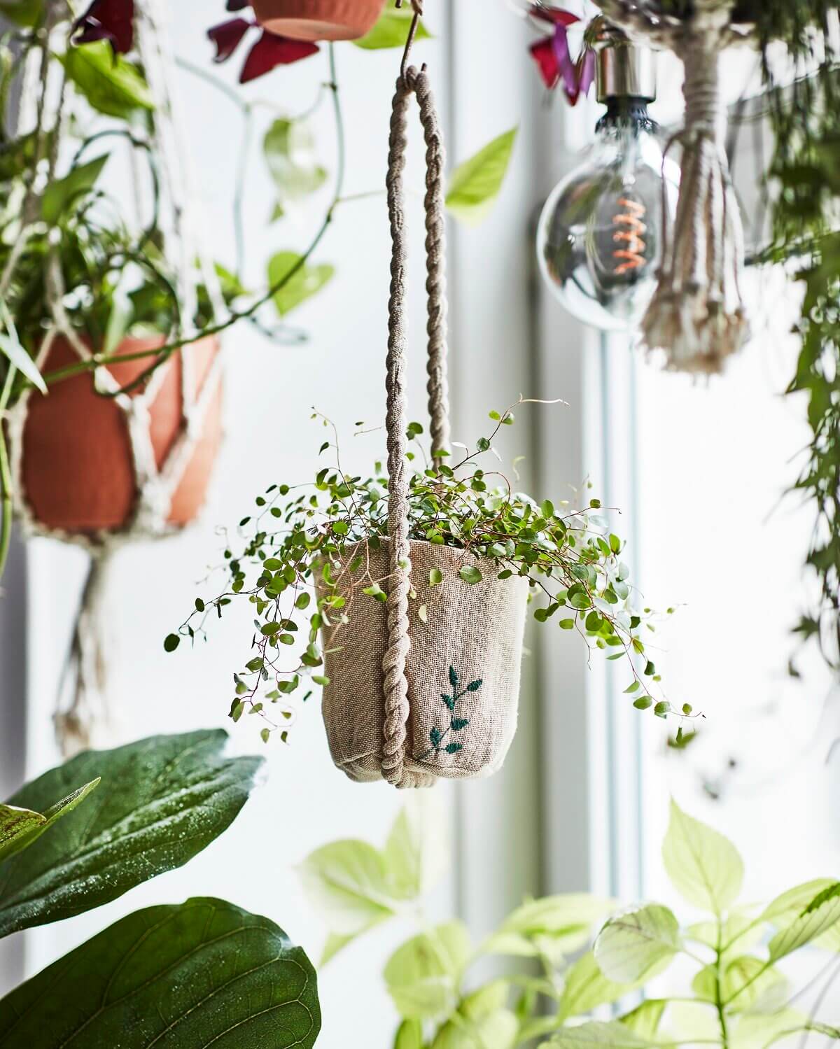 ikea botanisk collection nordroom5 Botanisk: A Handmade Indoor Gardening Collection by IKEA