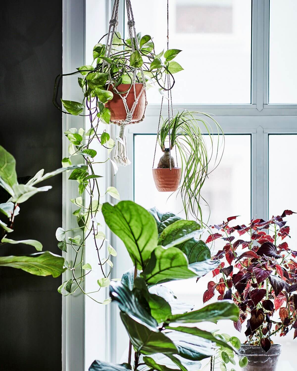 ikea botanisk collection nordroom8 Botanisk: A Handmade Indoor Gardening Collection by IKEA