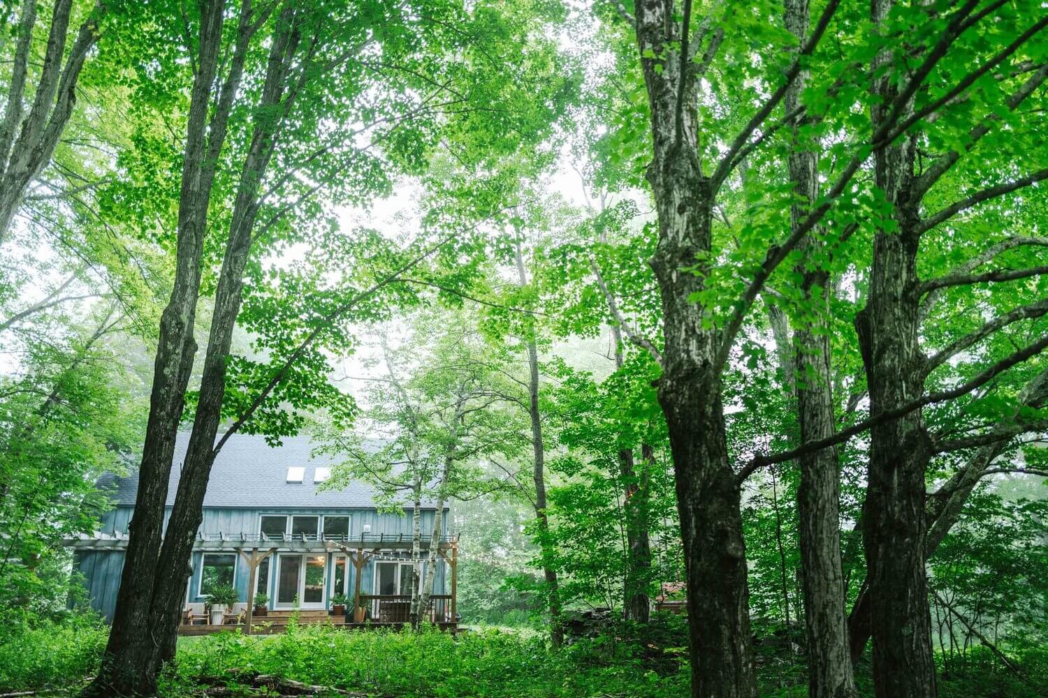 the hunter barnhouse airbnb nordroom34 The Hunter Barnhouse: A Stylish Slow Living Airbnb Surrounded by Nature
