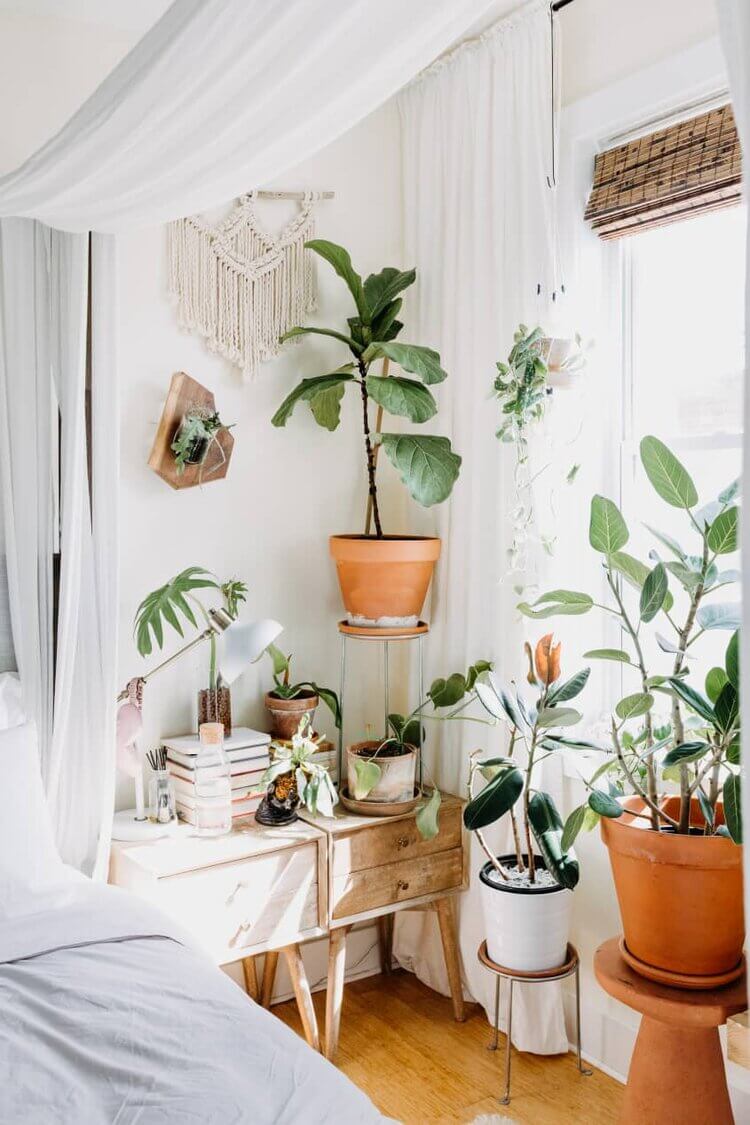 plant filled home philadelphia nordroom15 A Cozy Plant-Filled Home in Philadelphia