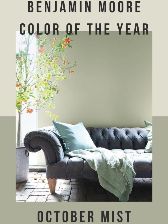 How To Style Benjamin Moore’s Color of the Year 2022: October Mist