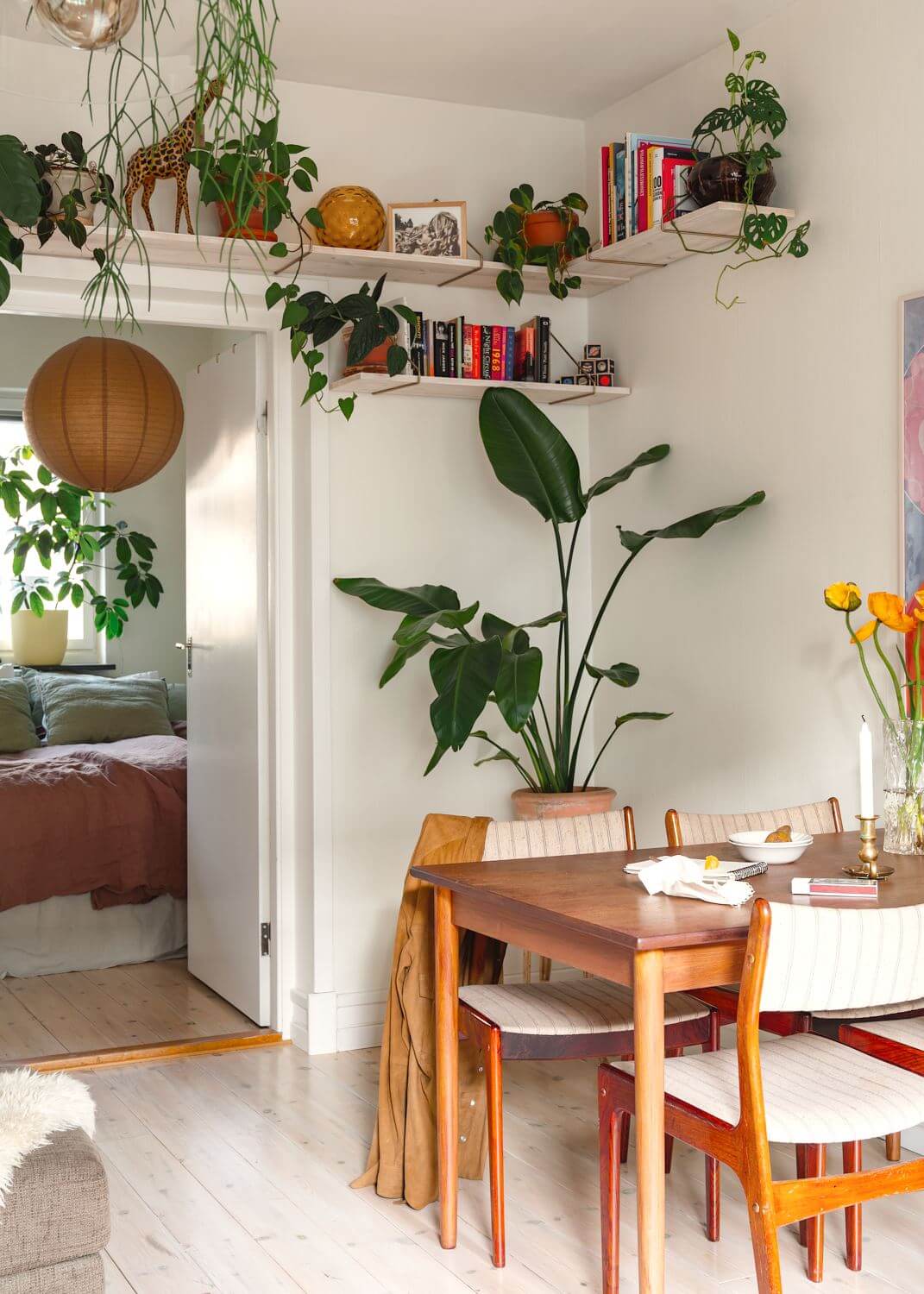 A Small Light Apartment with Plants - The Nordroom