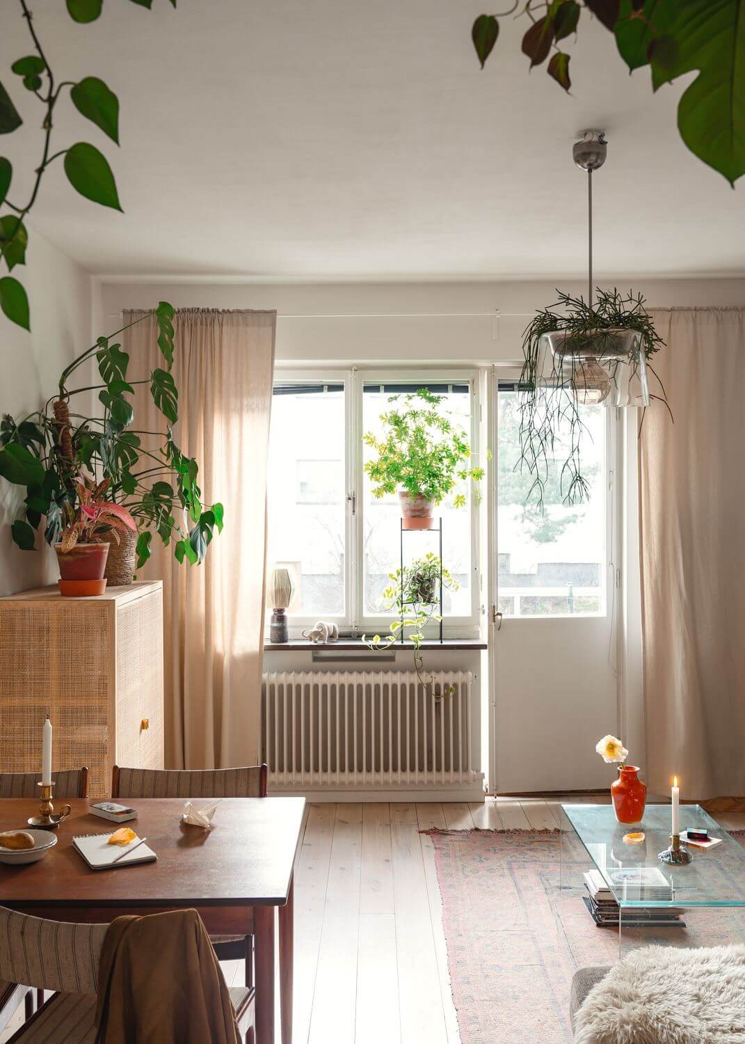living-room-plants-nordroom