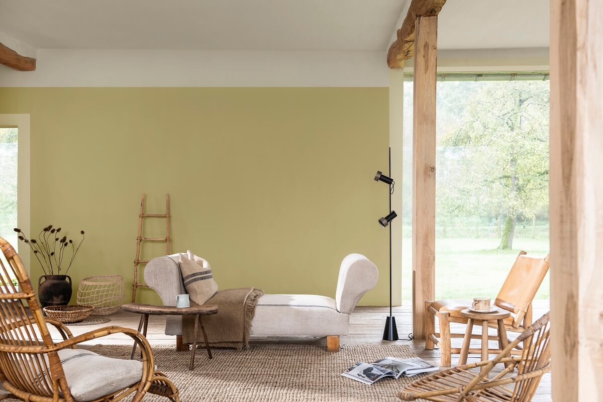 raw-color-palette-dulux-color-trends-wild-wonder-living-room-wall-paint-nordroom