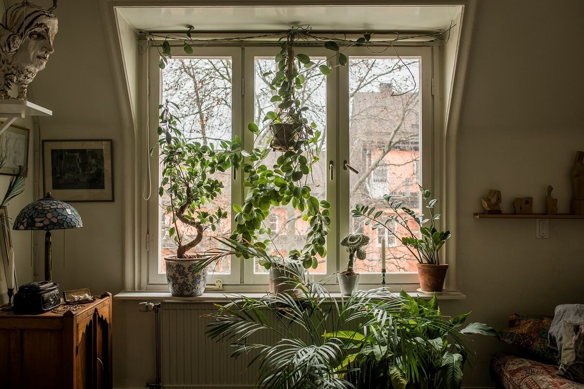 living-room-plants-slanted-ceiling-nordroom