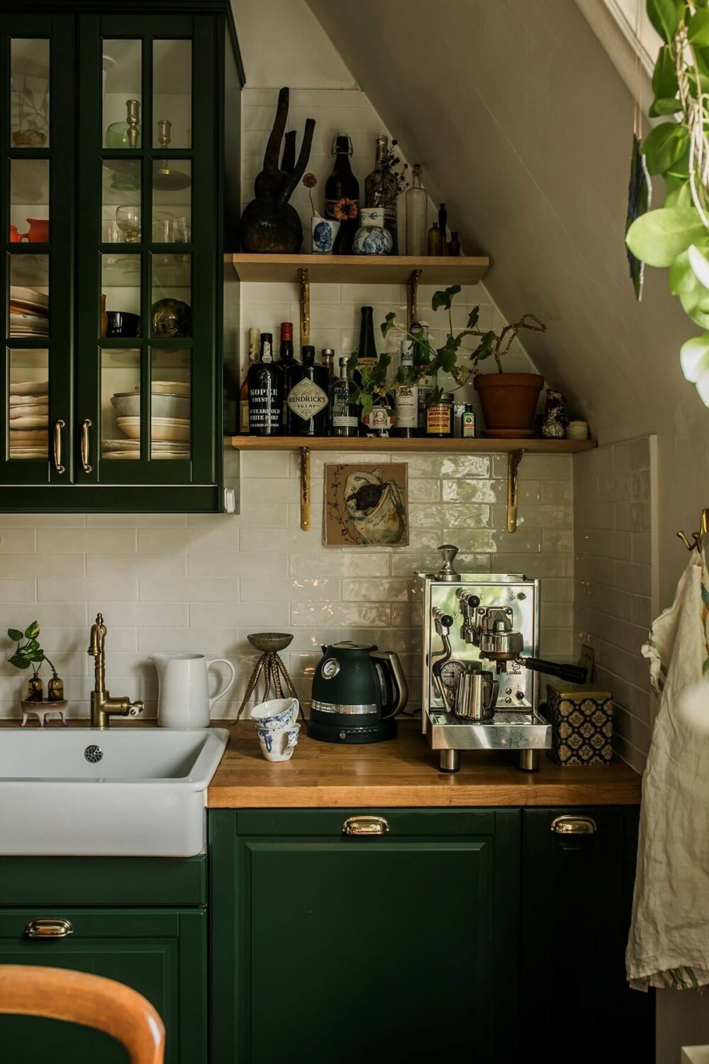 small-kitchen-green-cabinets-shelves-plants-nordroom
