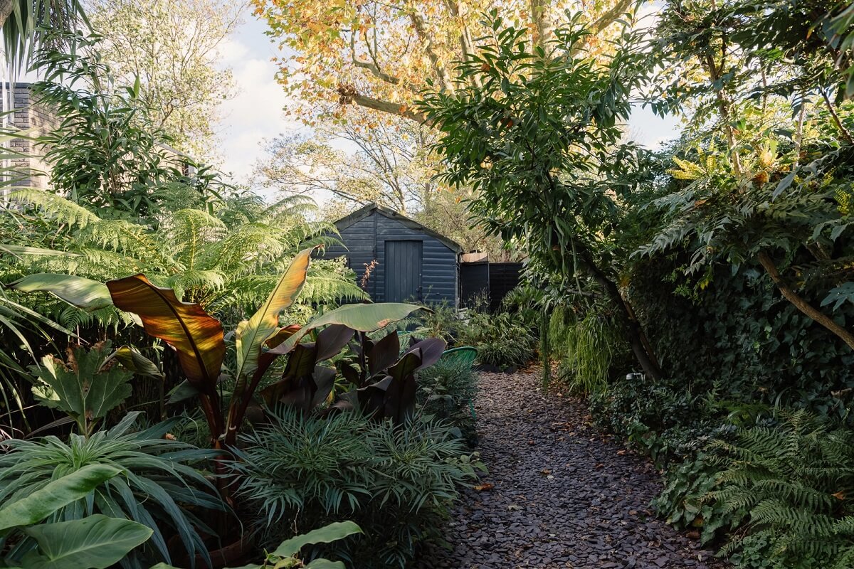 garden-plants-shed-victorian-house-nordroom