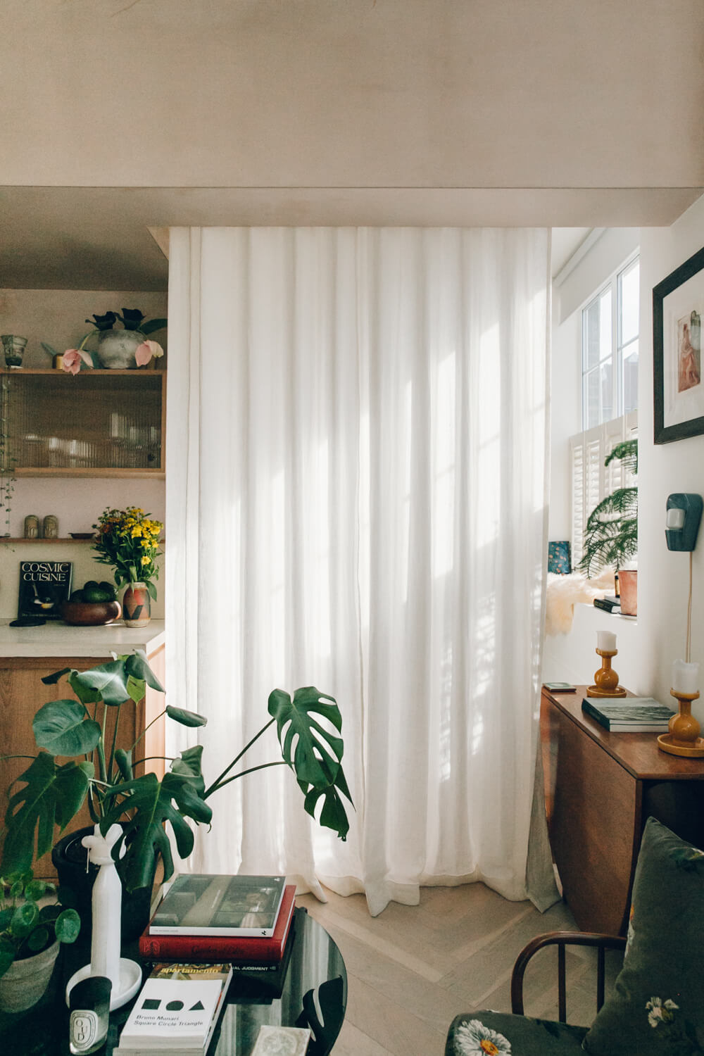 curtain-divider-studio-apartment-plants-nordroom