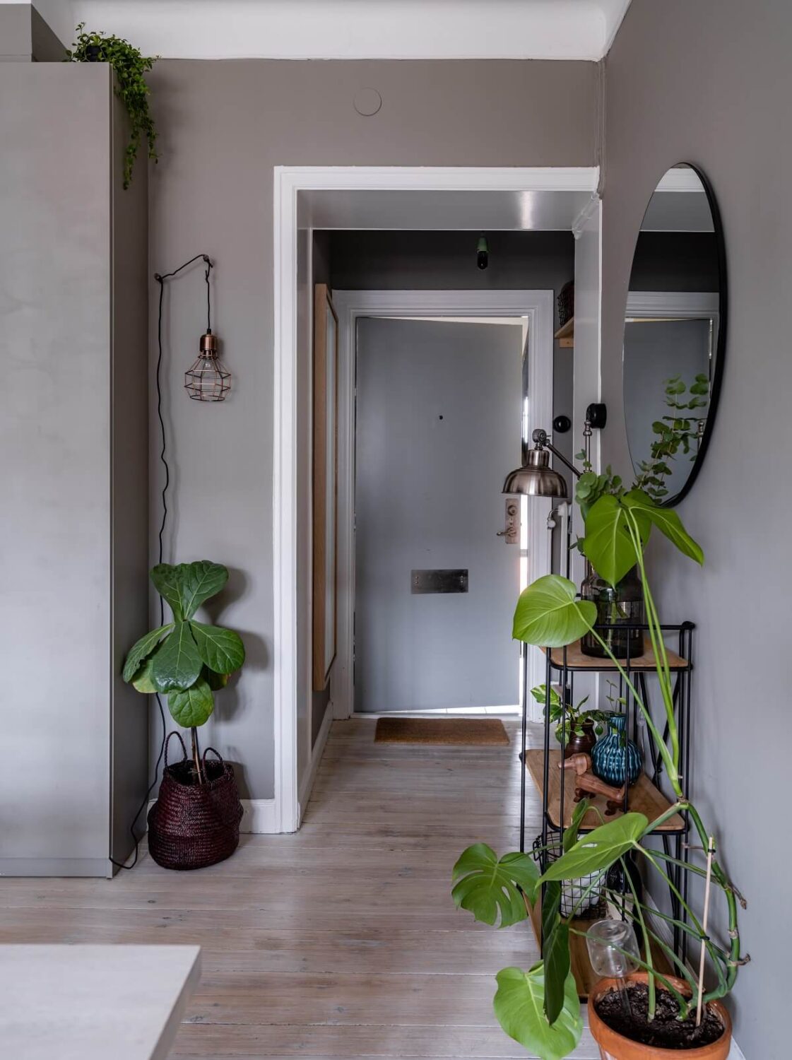 apartment-entry-plant-filled-nordroom