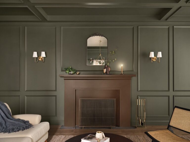 Dutch Boy Color of the Year 2024 Ironside The Nordroom
