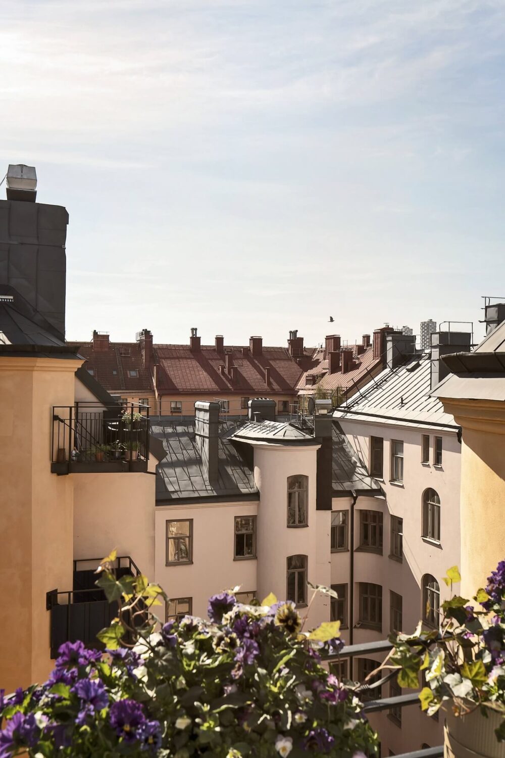 roof-terrace-view-courtyard-nordroom