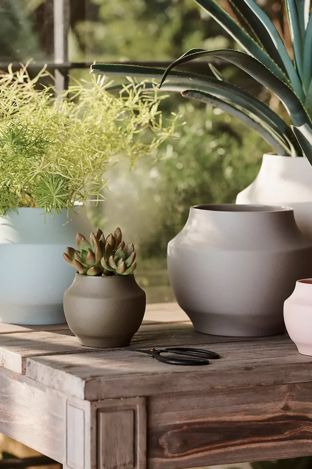 light-blue-plant-pot-sherwin-williams-upward-color-of-the-year-2024-nordroom