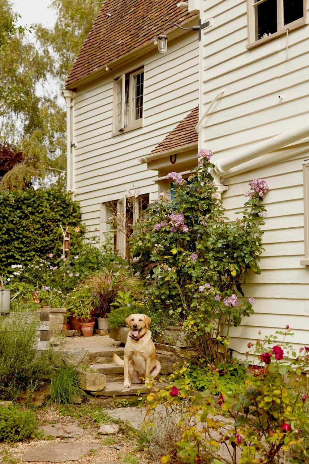 garden path english cottage