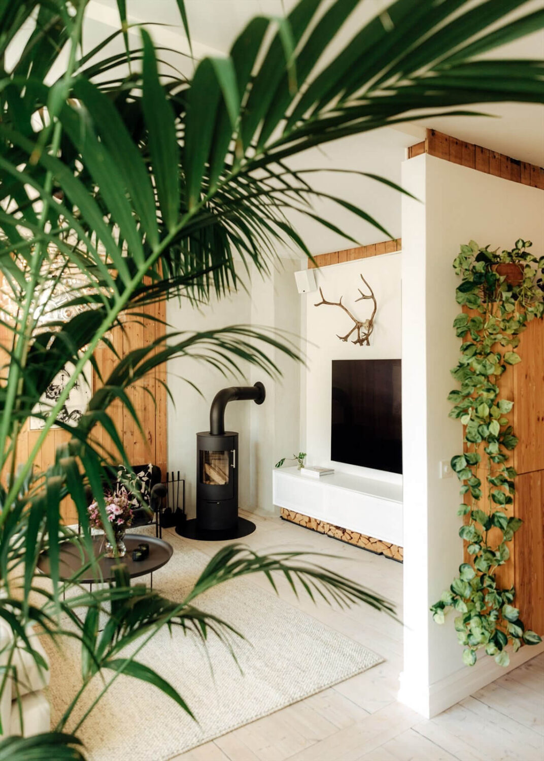 living-room-plants-scandi-apartment-nordroom