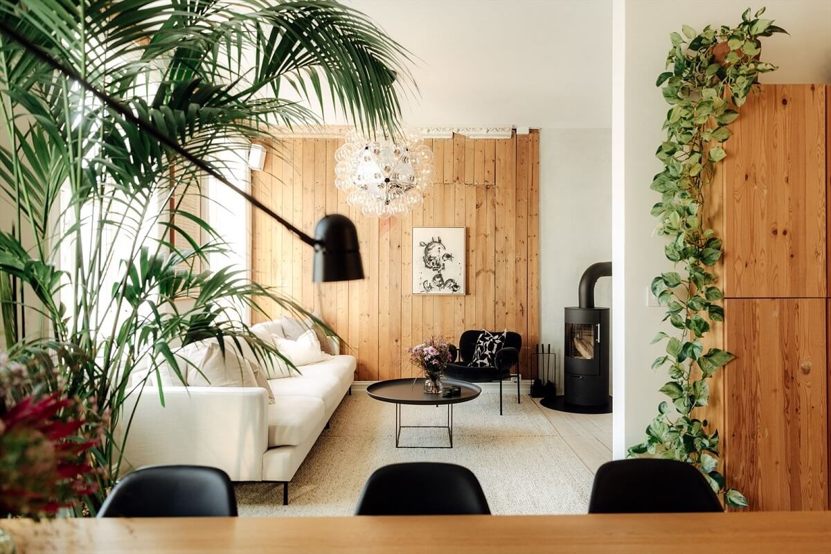open-plan-living-space-wooden-wall-plants-nordroom