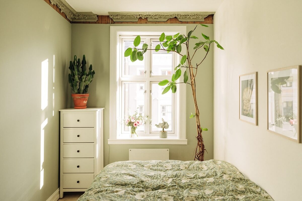 small-light-green-bedroom