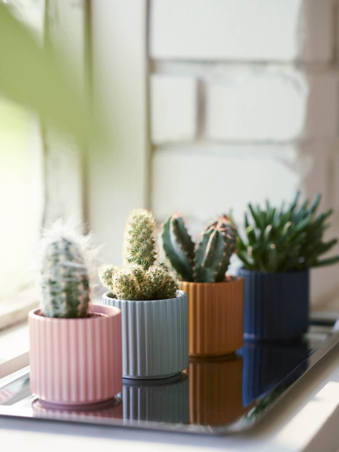 ikea-daksjus-new-collection-colorful-plant-pots