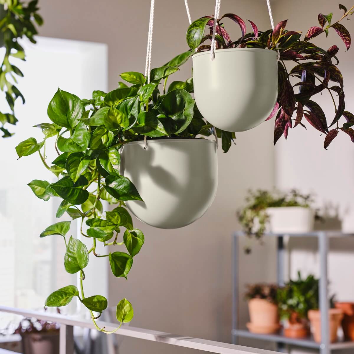 ikea-daksjus-new-collection-hanging-plant-pot