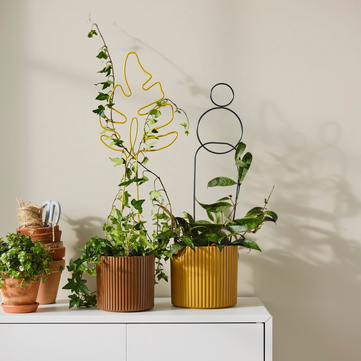 ikea-daksjus-new-collection-plants