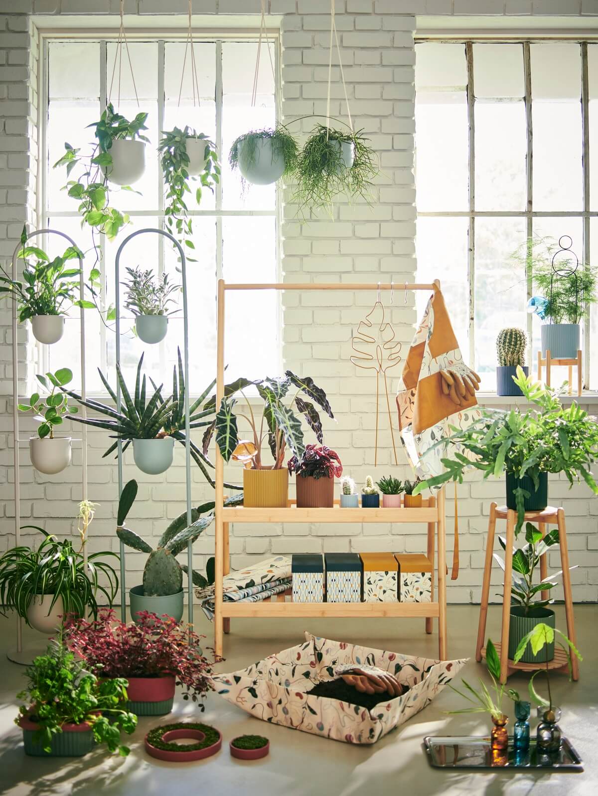 IKEA DAKSJUS: A Limited Collection for Plant Lovers