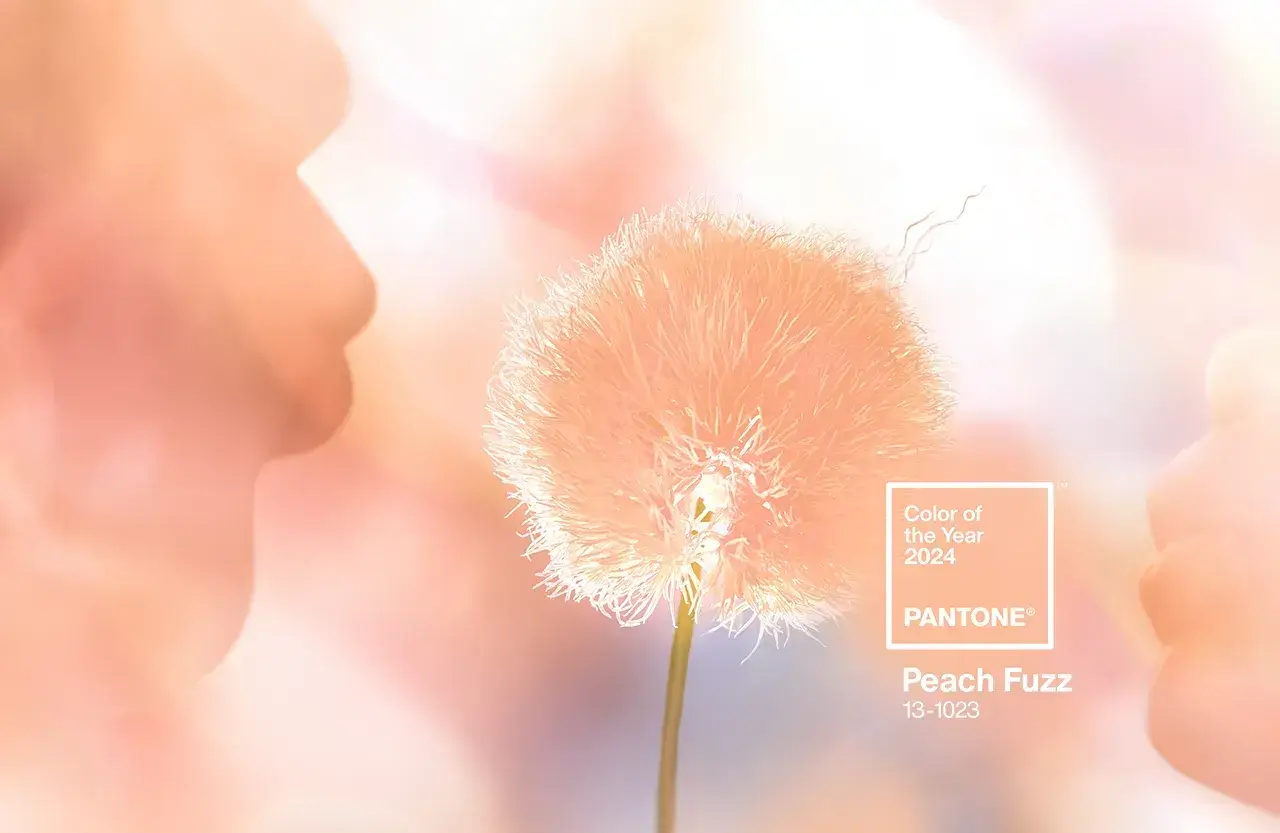 pantone-color-of-the-year-2024-peach-fuzz