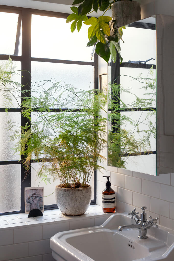 light-bathroom-plant-nordroom