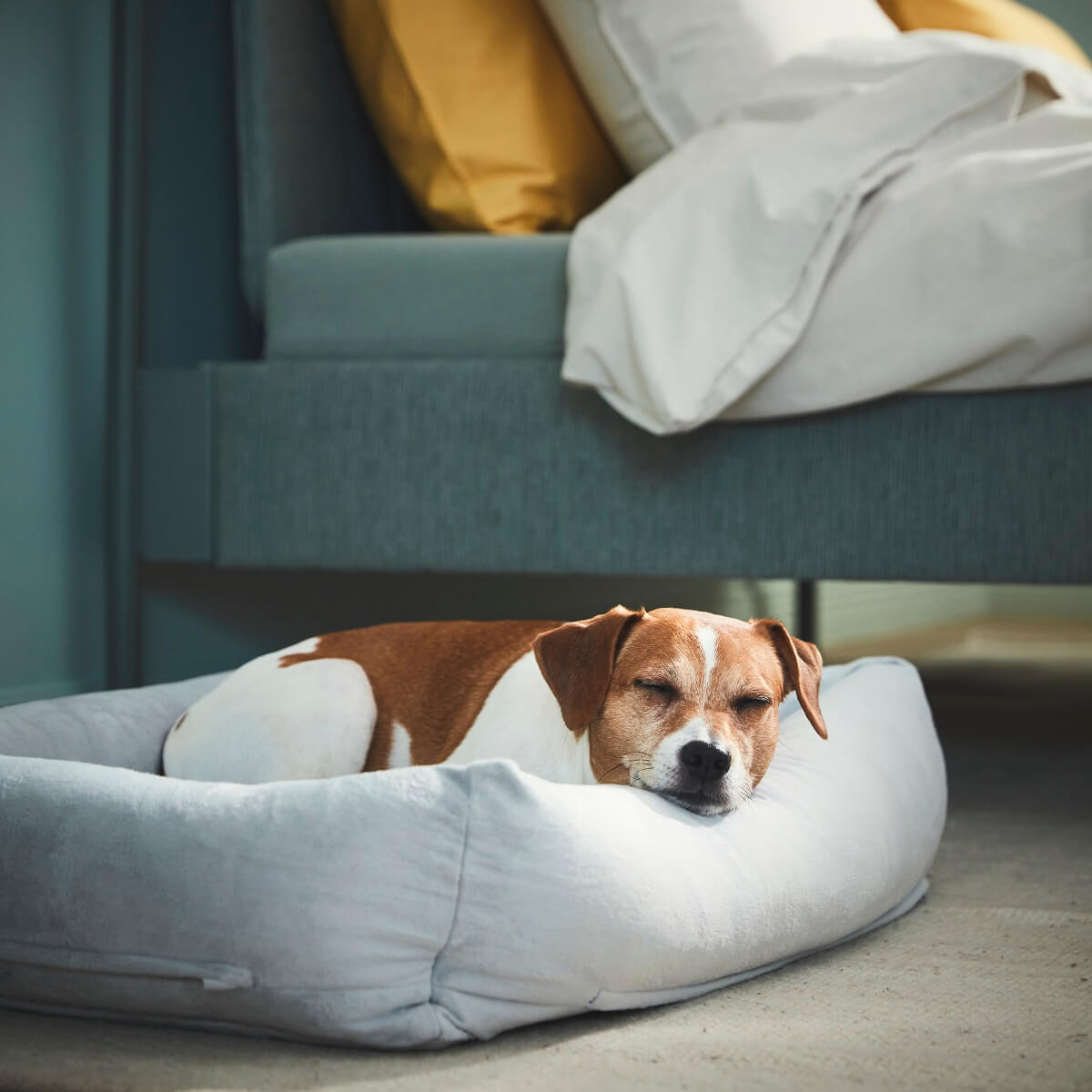 IKEA-UTSADD-dog-bed