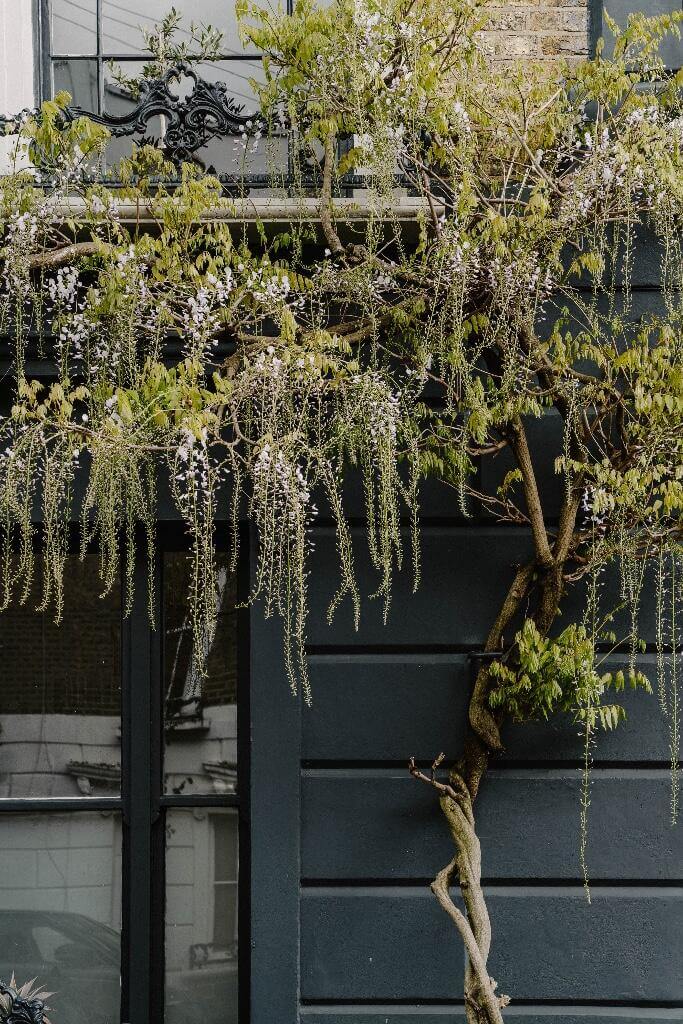 A Historic London Home with Contemporary Interiors 16 facade detail A Historic London Home with Contemporary Interiors