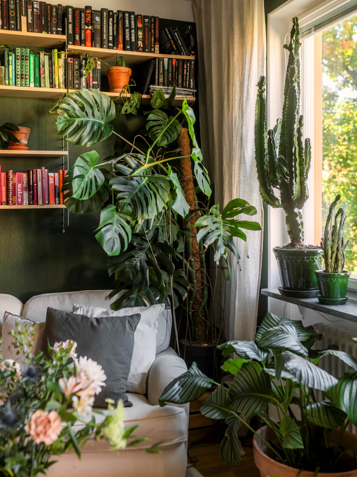 green walls plant-filled living room with bookshelves