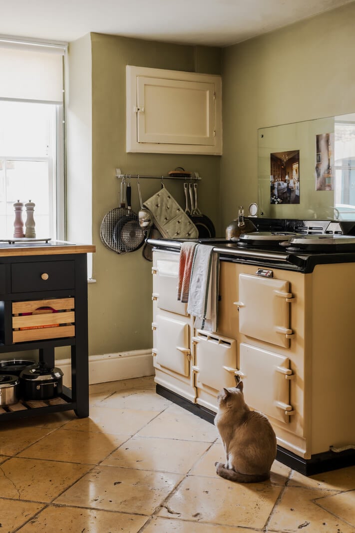 Period Features and Color in a Pretty Georgian House 7 old stove
