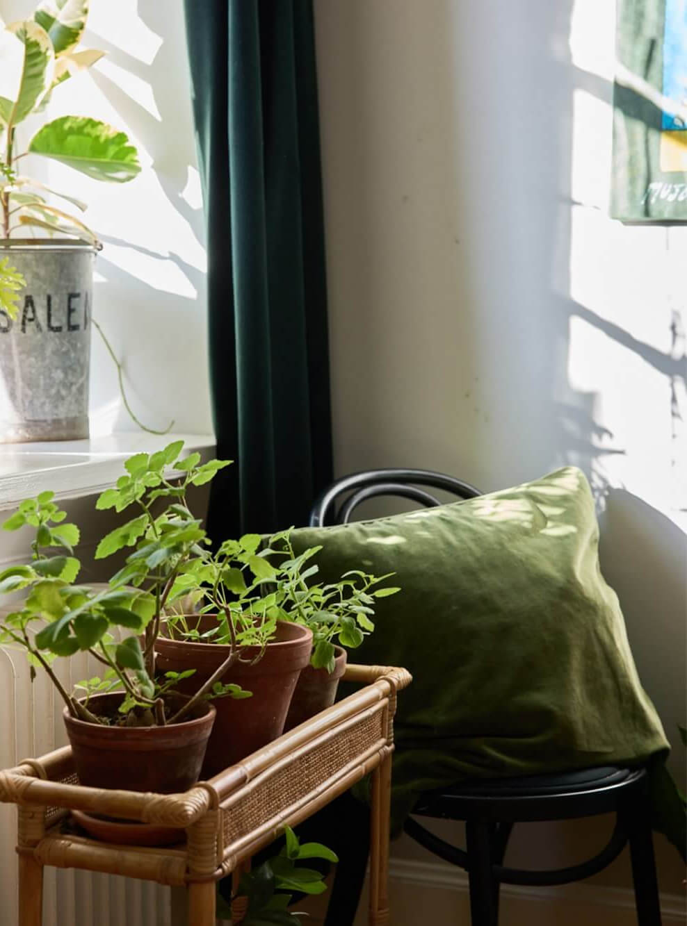 plant stand