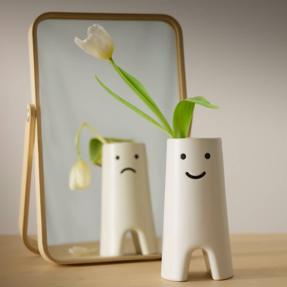 IKEA_FROVAXT_vas_PH202934