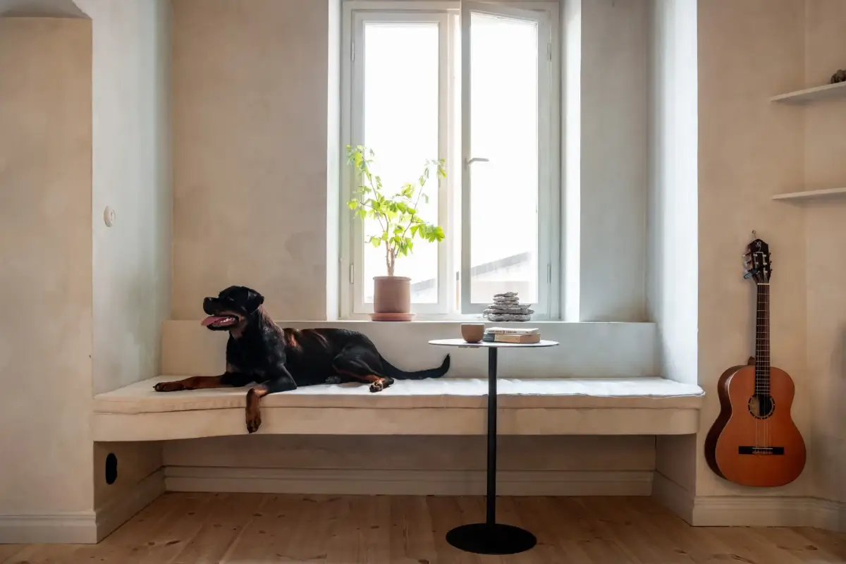 Gray Plaster Walls in a Contemporary Duplex Apartment 6 MED9F4A7D4F33534BC78EF90B9EDE7470CA Gray Plaster Walls in a Contemporary Duplex Apartment