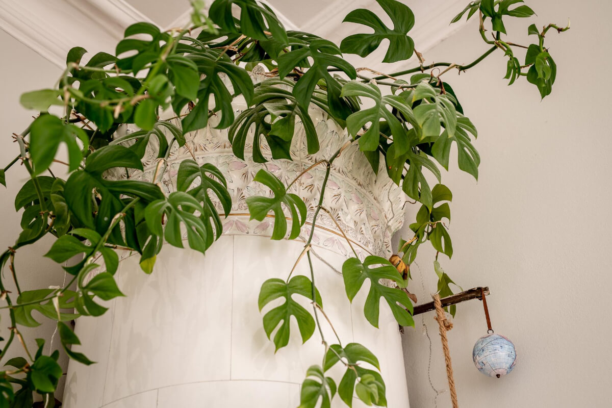 A Light and Spacious Apartment with a Cozy Social Kitchen 14 fireplace used as planter