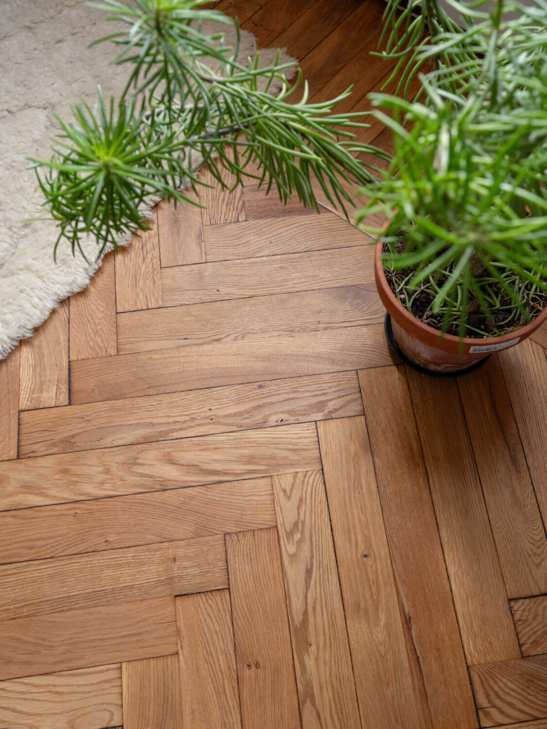 A Blue and Pink Studio Apartment with a Large Balcony 5 herringbone floor