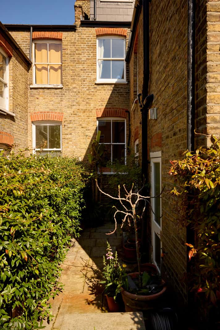 narrow city garden