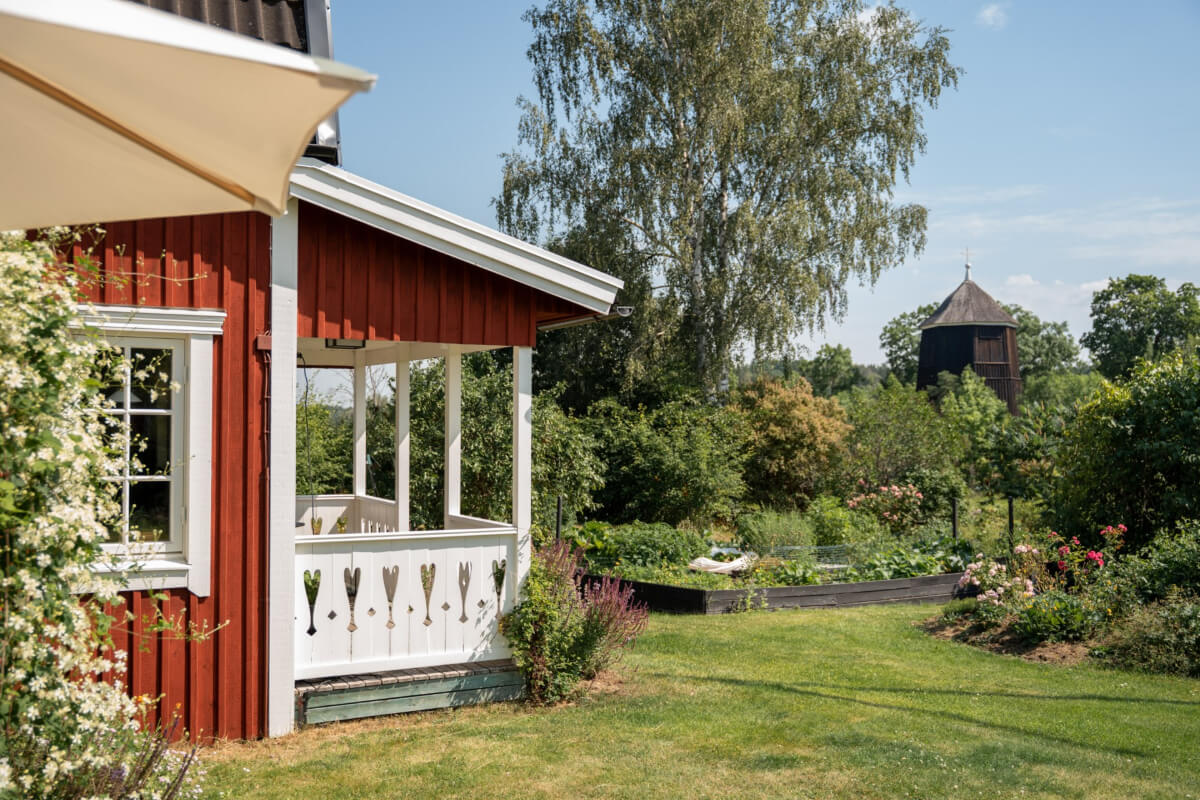 vegetable garden