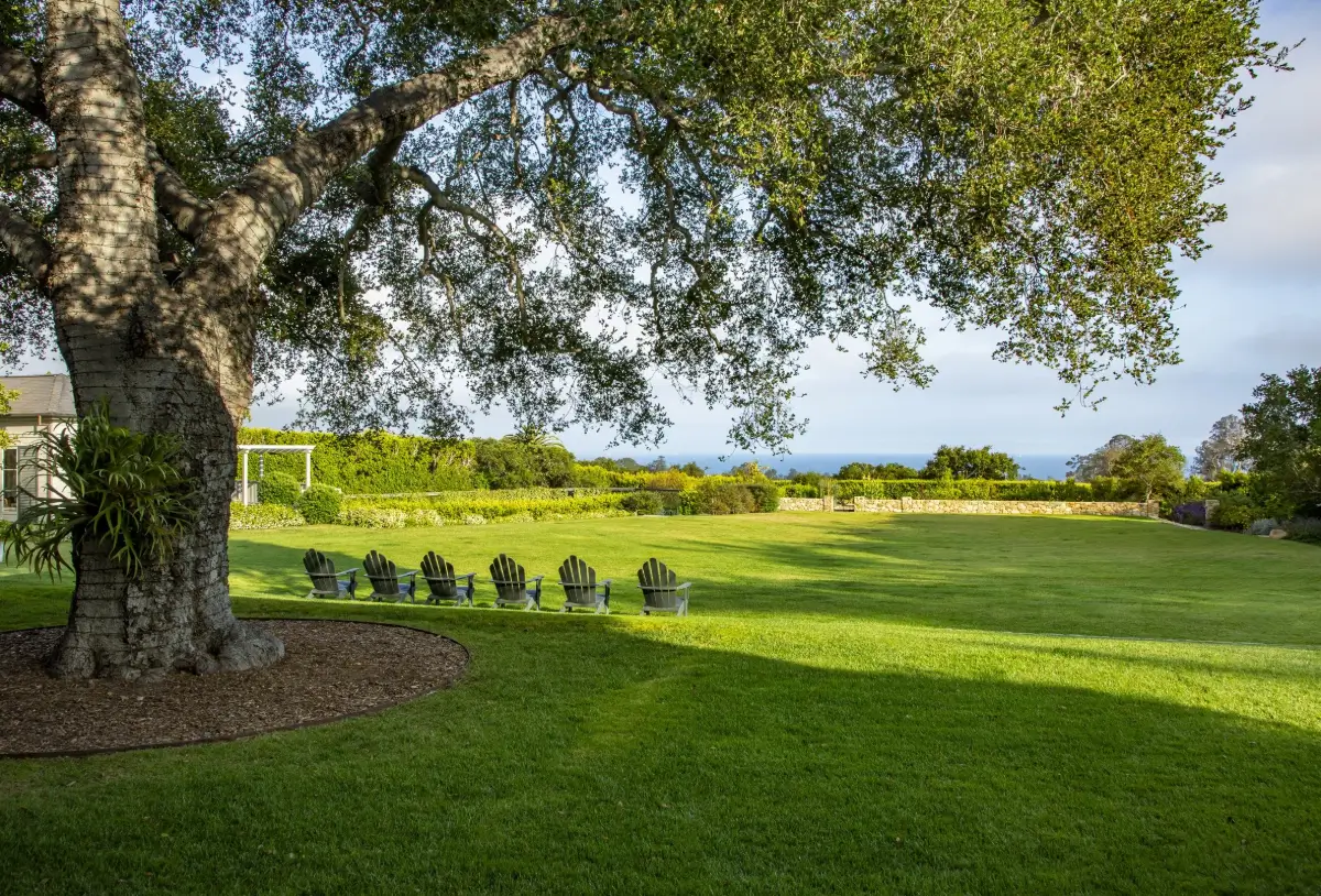 Adam Levine and Behati Prinsloo's Montecito Estate is For Sale 43 Adam-Levine-Behati-Prinsloo-Montecito-Estate-For-Sale-Nordroom-tree
