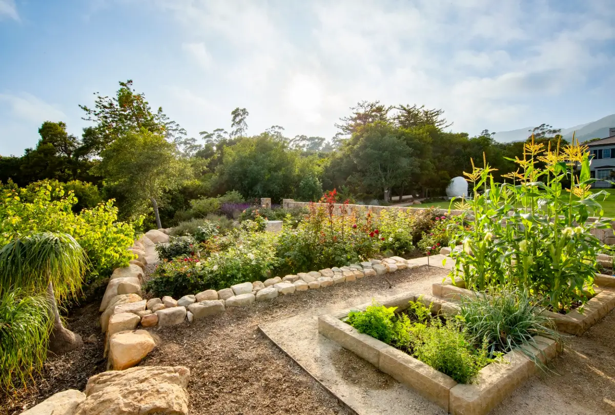 Adam Levine and Behati Prinsloo's Montecito Estate is For Sale 37 Adam-Levine-Behati-Prinsloo-Montecito-Estate-For-Sale-Nordroom-vegetable-garden