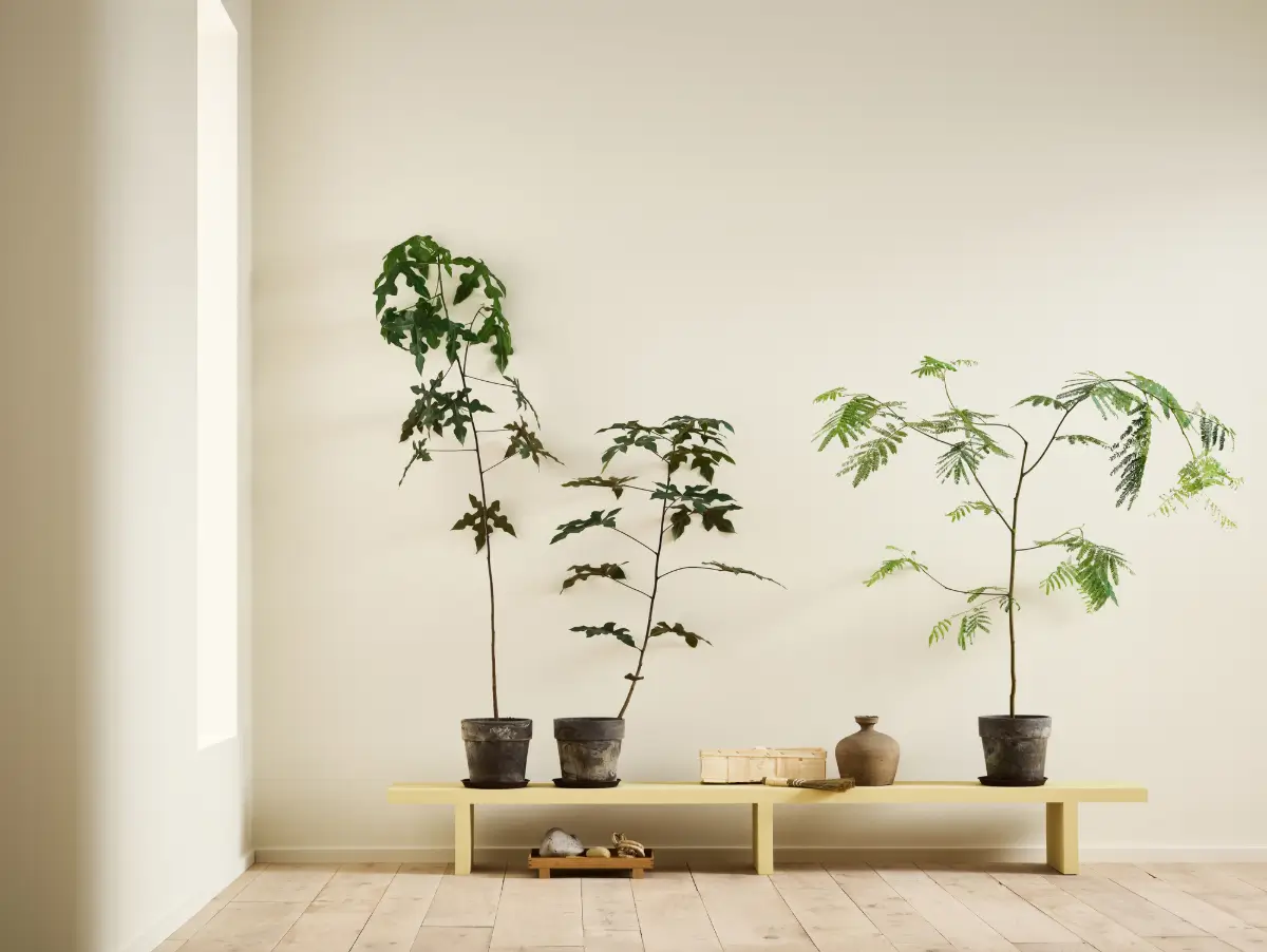 Jotun Lady Color Palette 2026: Soulful Spaces 34 Jotun LADY 1625 Soul 1965 Ginger Tea color trends 2026 nordroom Jotun Lady Color Palette 2026: Soulful Spaces