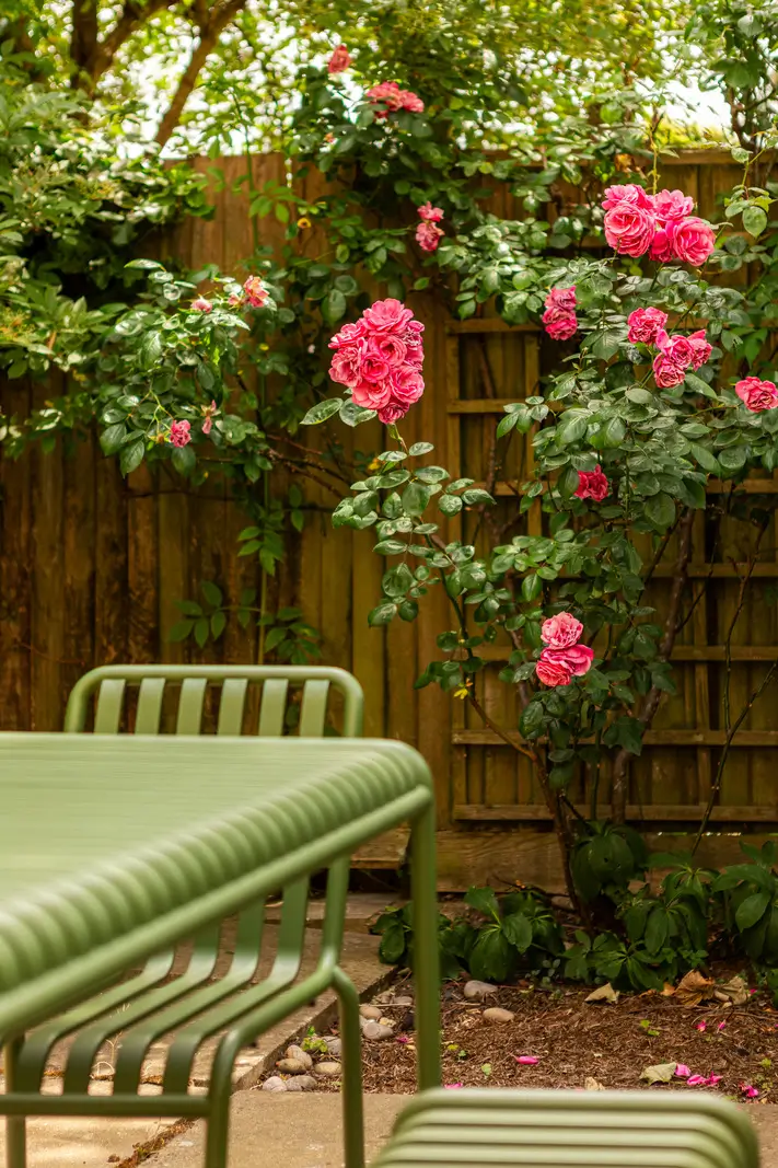 A Muted Color Palette and Original Details in a Victorian Terrace House 22 garden detail
