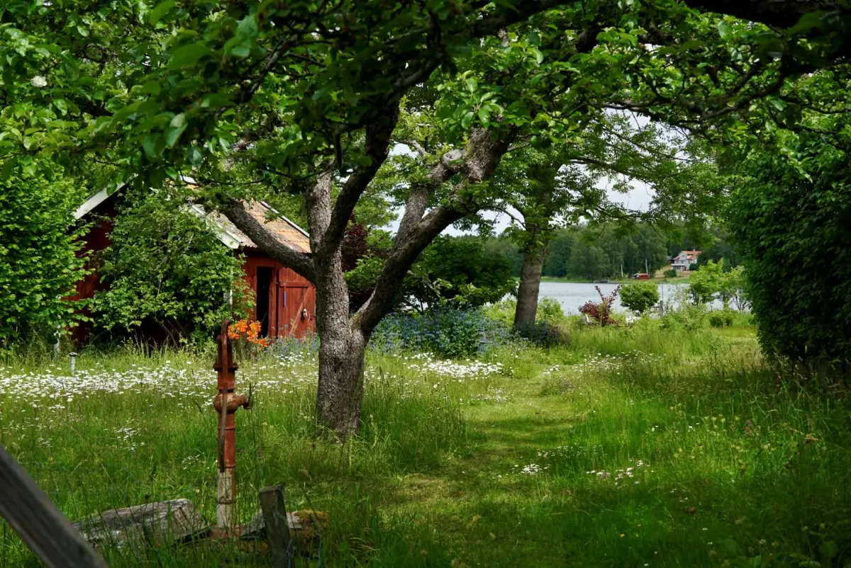 A Historic Lakeside Summer House in the Stockholm Archipelago 32 lakeside plot