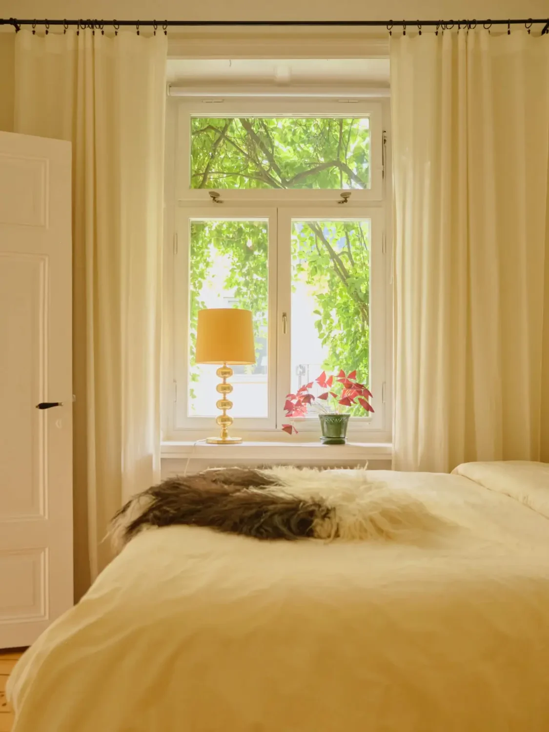 A Lush Balcony and Charming Rooms in a Late 19th Century Apartment 15 butter yellow bedroom window