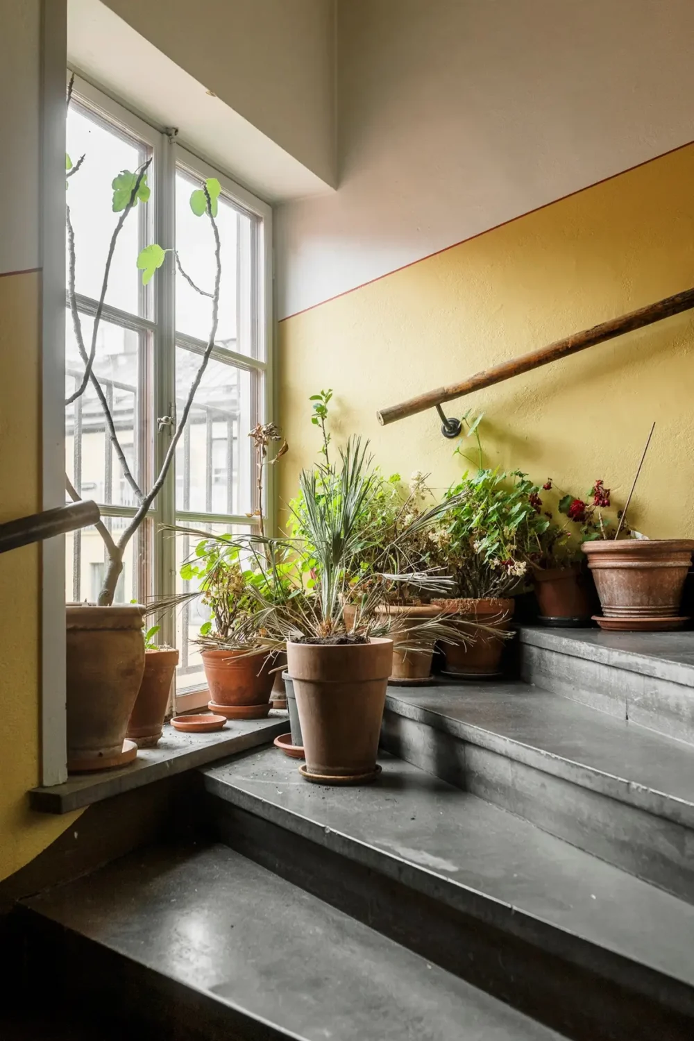 Warm Beige Walls and Practical Niches in a 1920s Studio Apartment 17 central staircase