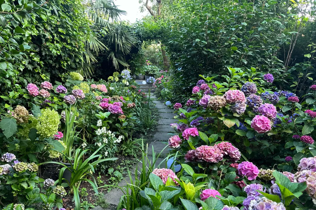 Victorian Grandeur Meets Modern Design in a Camden Square Townhouse 32 floral garden