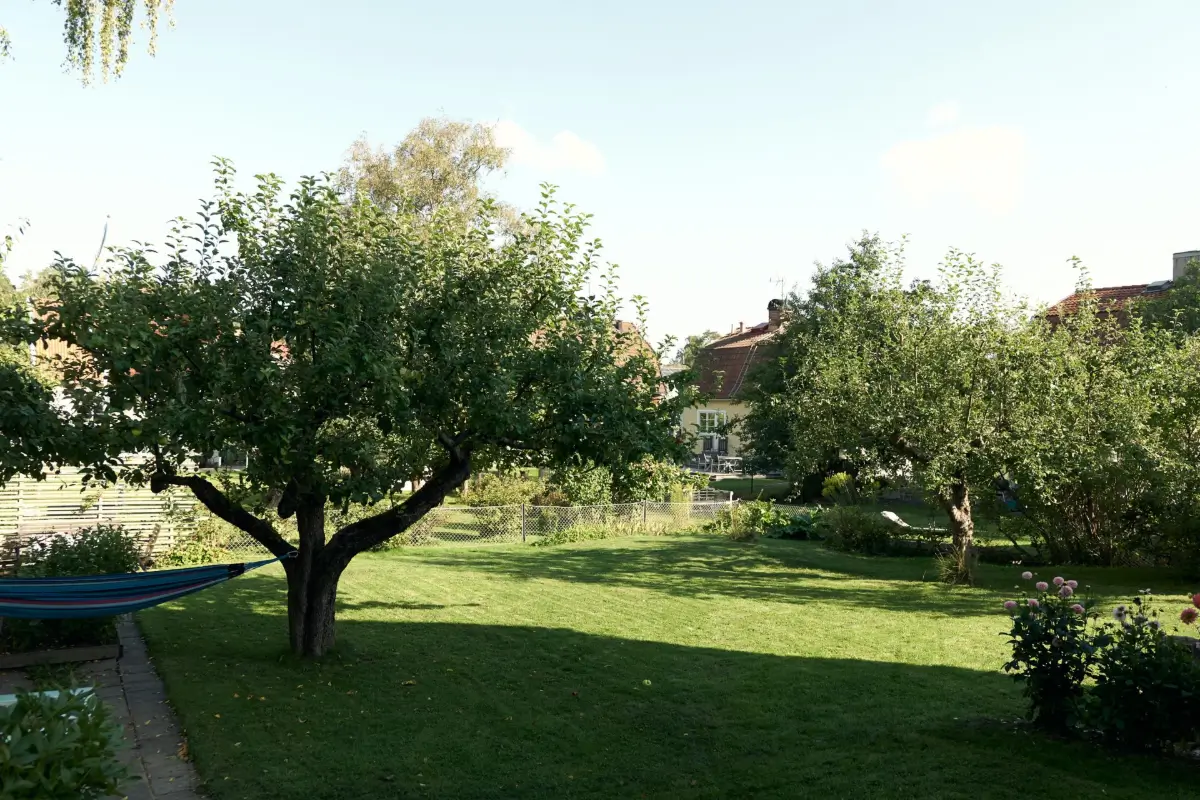 A Cheerful Color Palette in an Early 20th Century Villa in Stockholm 40 garden lawn