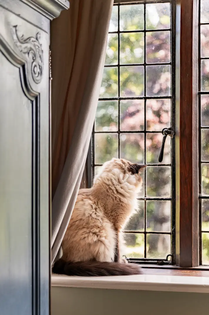 A Charming Timber-Framed Victorian Country House in England 14 north-lodge9
