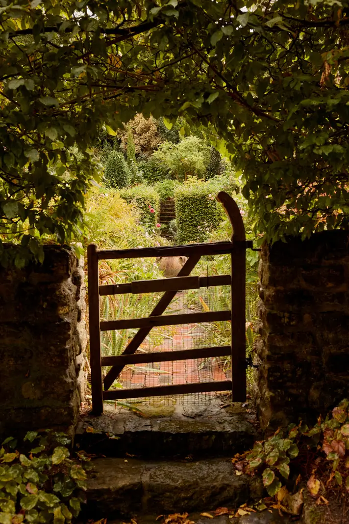 An English Cottage with Historic Character and a Charming Garden 36 palm-cottage