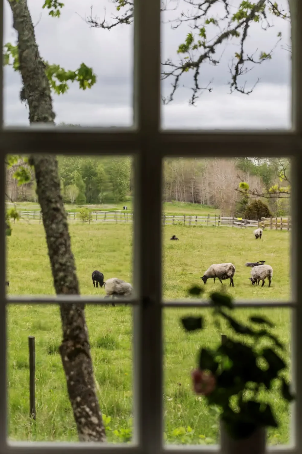 A Cozy Family Home in a Renovated 19th Century School Building 16 school-conversion-sweden-nordroom25